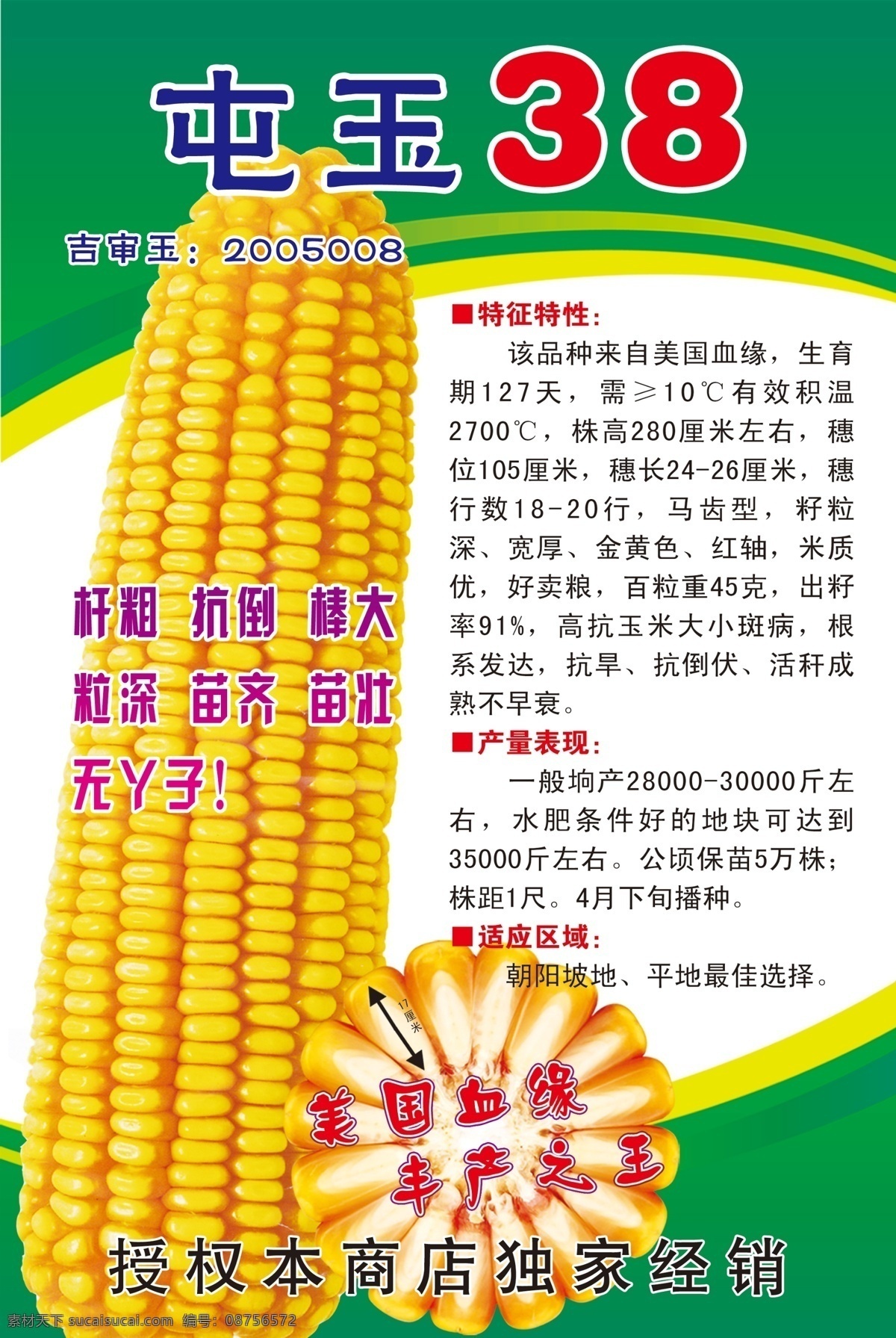 玉米海报 玉米农资素材 苞米 秋收 玉米 丰收 轴细粒深 广告设计模板 源文件