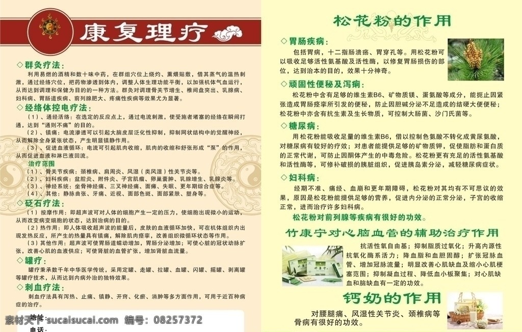 康复理疗 松花粉 群灸疗法 竹康宁 罐疗 刺血疗法 dm宣传单 矢量