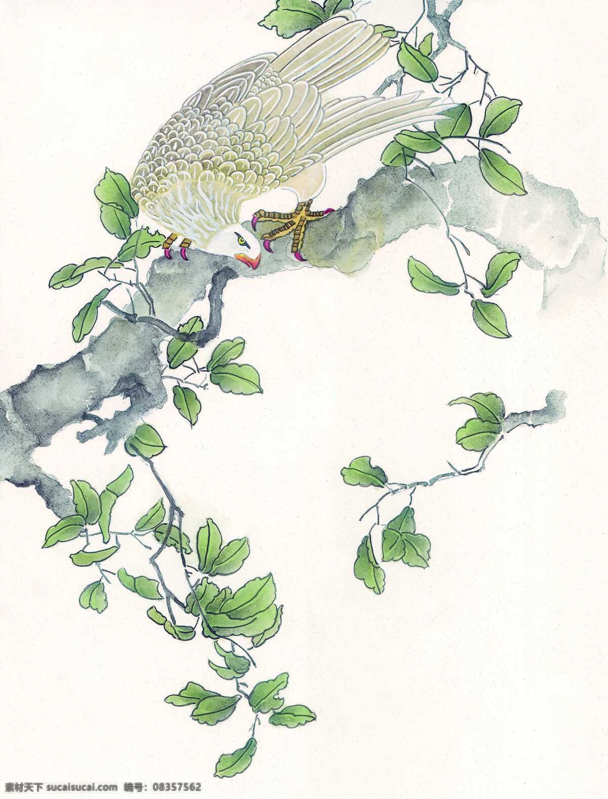 枝头 上 鸟 水彩画 水彩 画 水墨画 图案 文化 艺术 古代 传统 水墨花鸟 花鸟绘画 书画文字 文化艺术