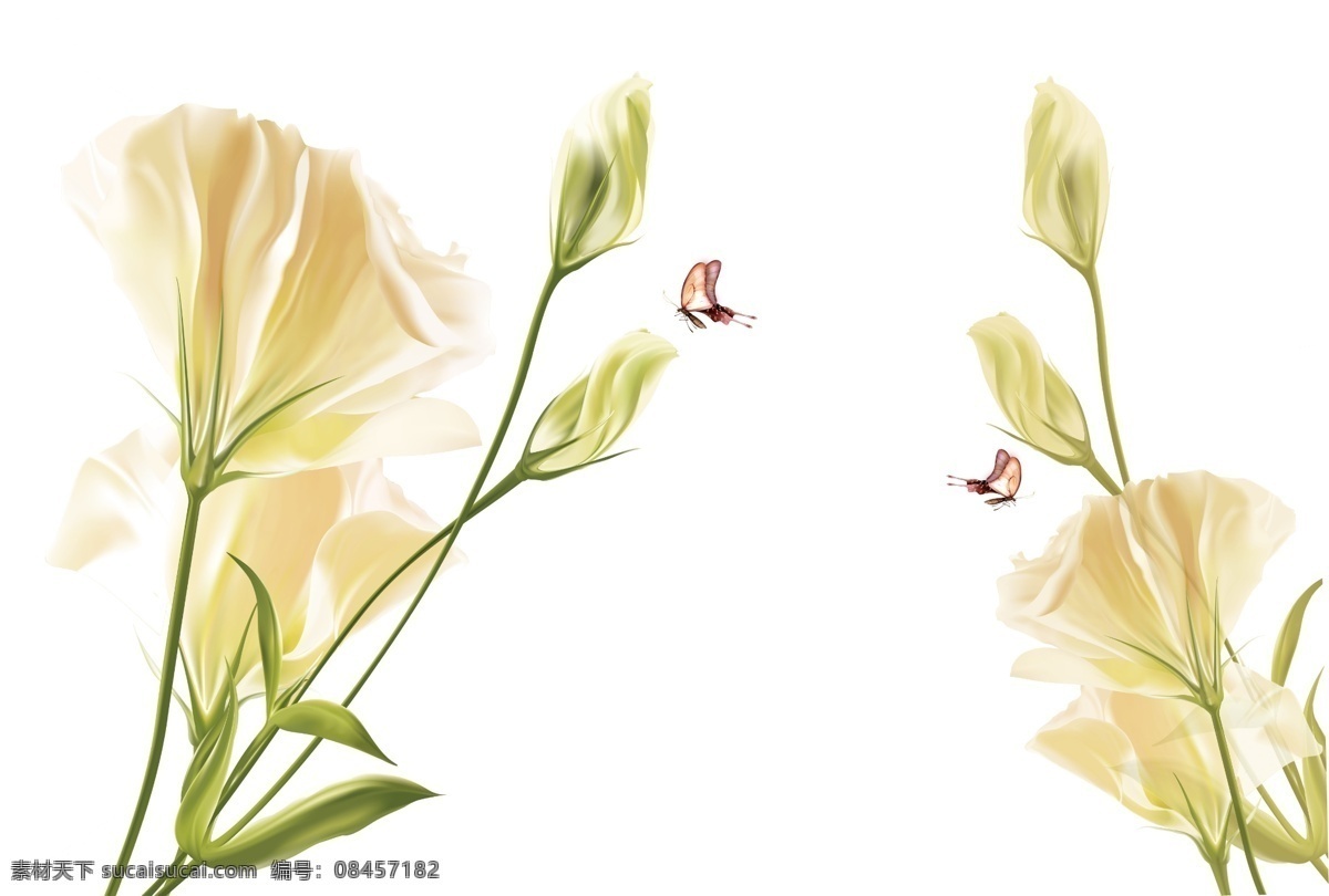 百合花 花 花朵花草 卡通花朵 插画图片 唯美花朵 花朵贺卡 花朵儿 花元素 免扣花素材 免扣花 手绘花朵 金色花朵 花朵背景 底纹 手绘 手绘花纹 矢量花朵 免抠花朵 彩色花 插画 艺术花 花朵叶子 花朵 叶子 花朵树叶 植物树叶 树叶花草 插画花朵 花草 花纹花草 花形 psd素材