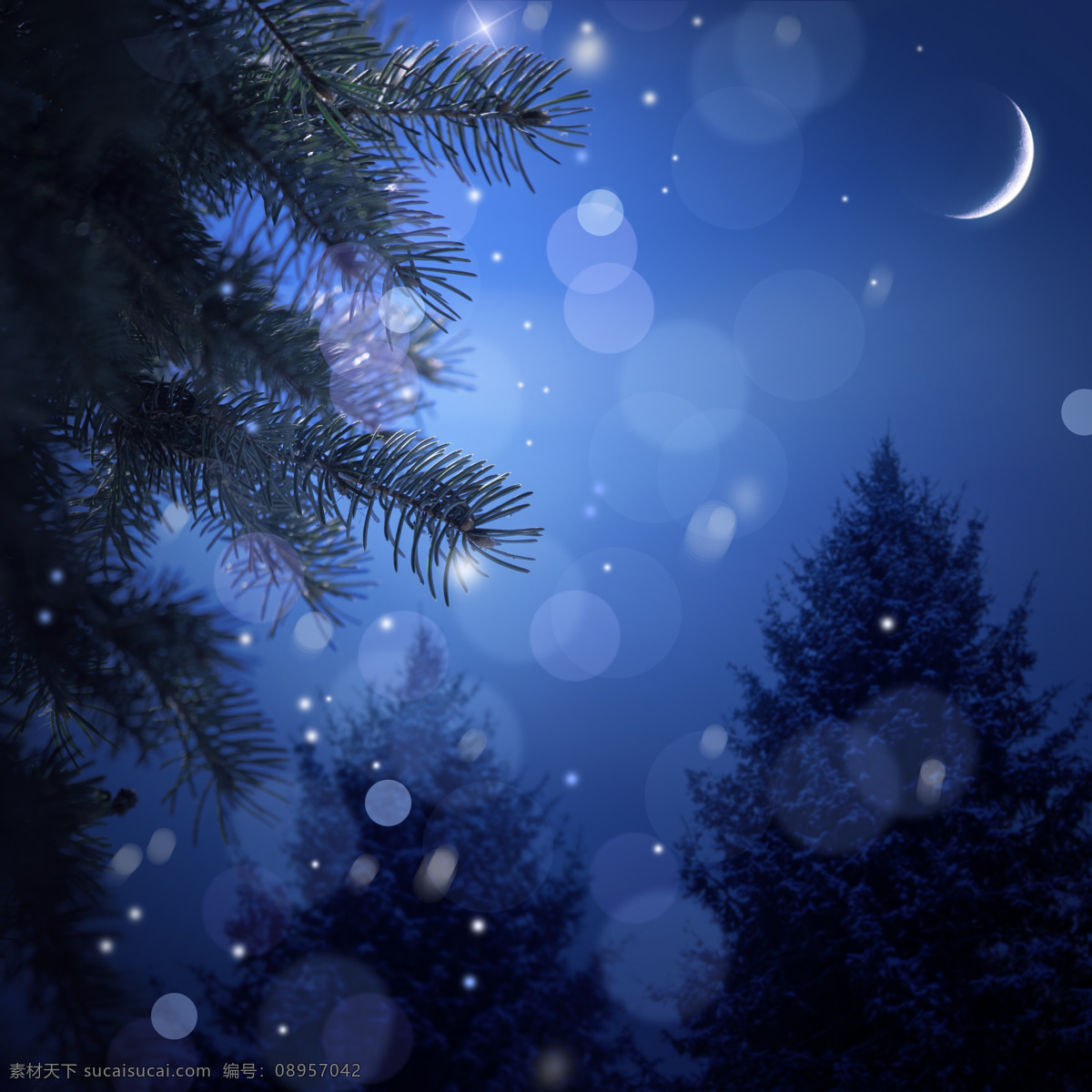 梦幻 圣诞 夜 圣诞夜 圣诞节 节日素材 圣诞之夜 夜景 夜晚 月亮 背景素材 美丽风景 圣诞树 节日庆典 生活百科
