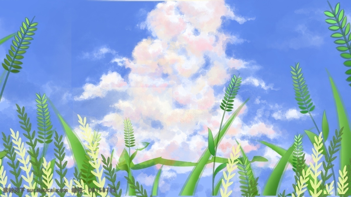 清新 小满 节气 小麦 云朵 背景 海报背景 背景素材 广告 背景图 小满节气 蓝天 麦穗 广告背景 背景展板 背景设计 彩绘素材