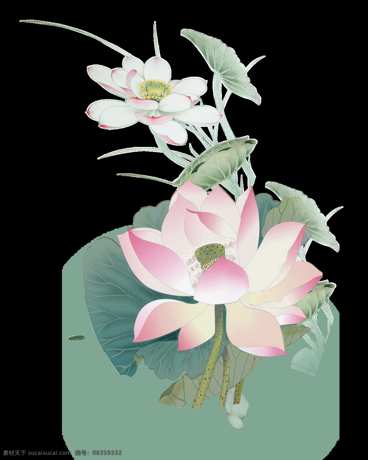 简约 清新 淡绿色 荷叶 装饰 元素 山茶花 鲜花 叶子 夏季 清新墙画 植物 热带 背景素材 边框 春季背景 自然景观 自然风光 3d贴图素材 各种花 花瓣 唯美 环保 春天 大自然 水墨花 免费素材 简约装饰 清新装饰