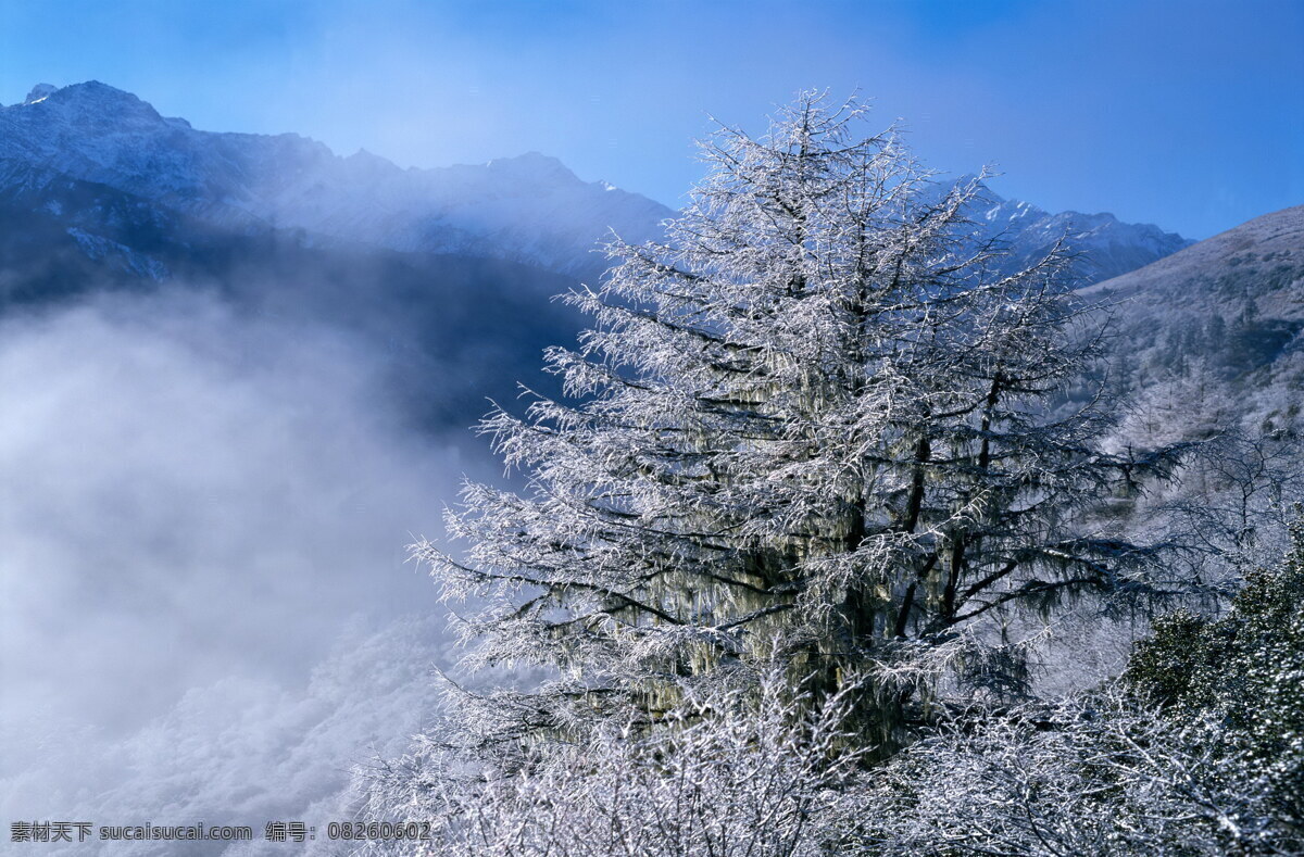 冬天 雪景 白雪 背景 冬天雪景 风光 风景 季节 摄影图库 自然 自然景观 自然风景 生活 旅游餐饮