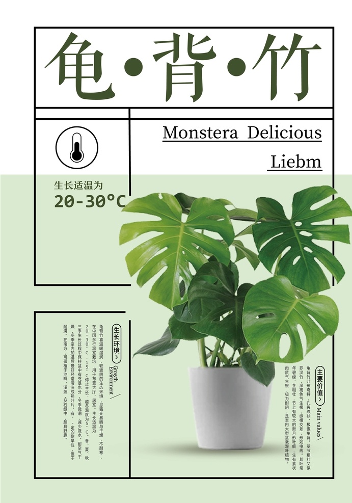 龟背竹海报 海报 展架 宣传单 植物