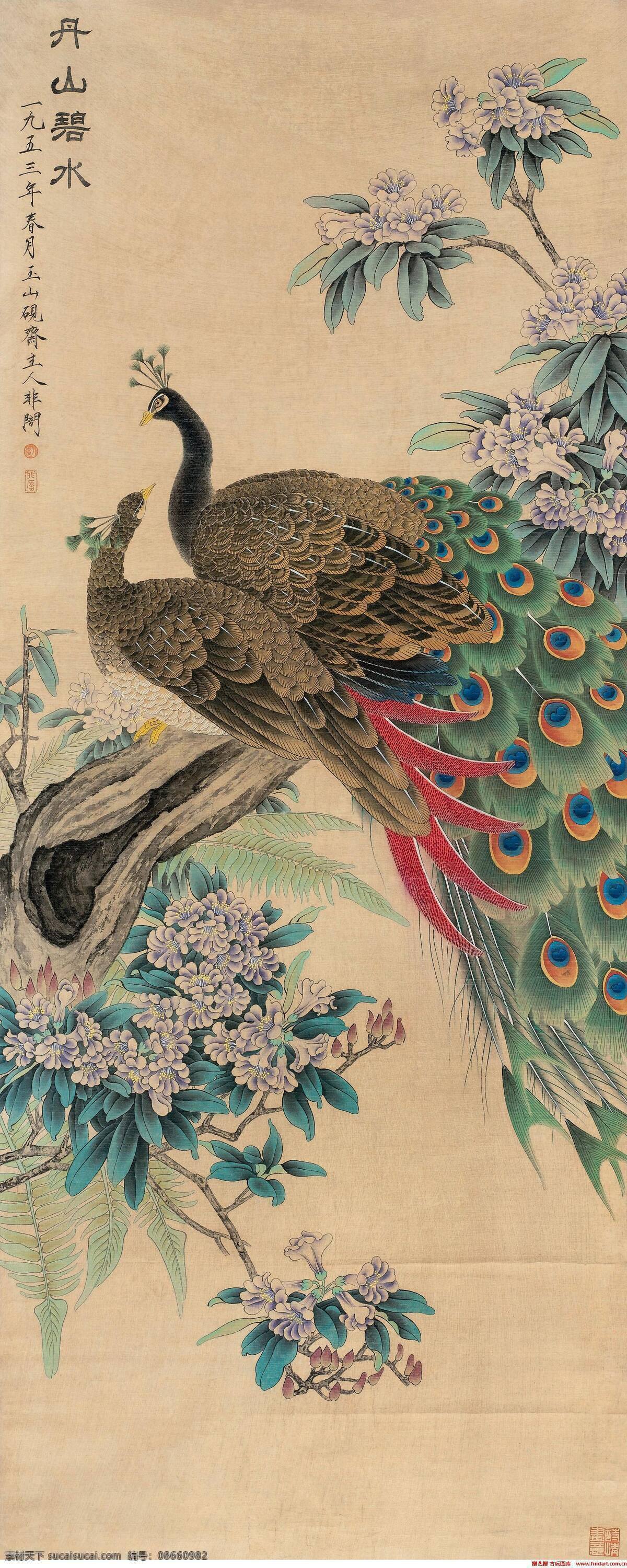 孔雀 花鸟 工笔画 中国画 名家画 文化艺术