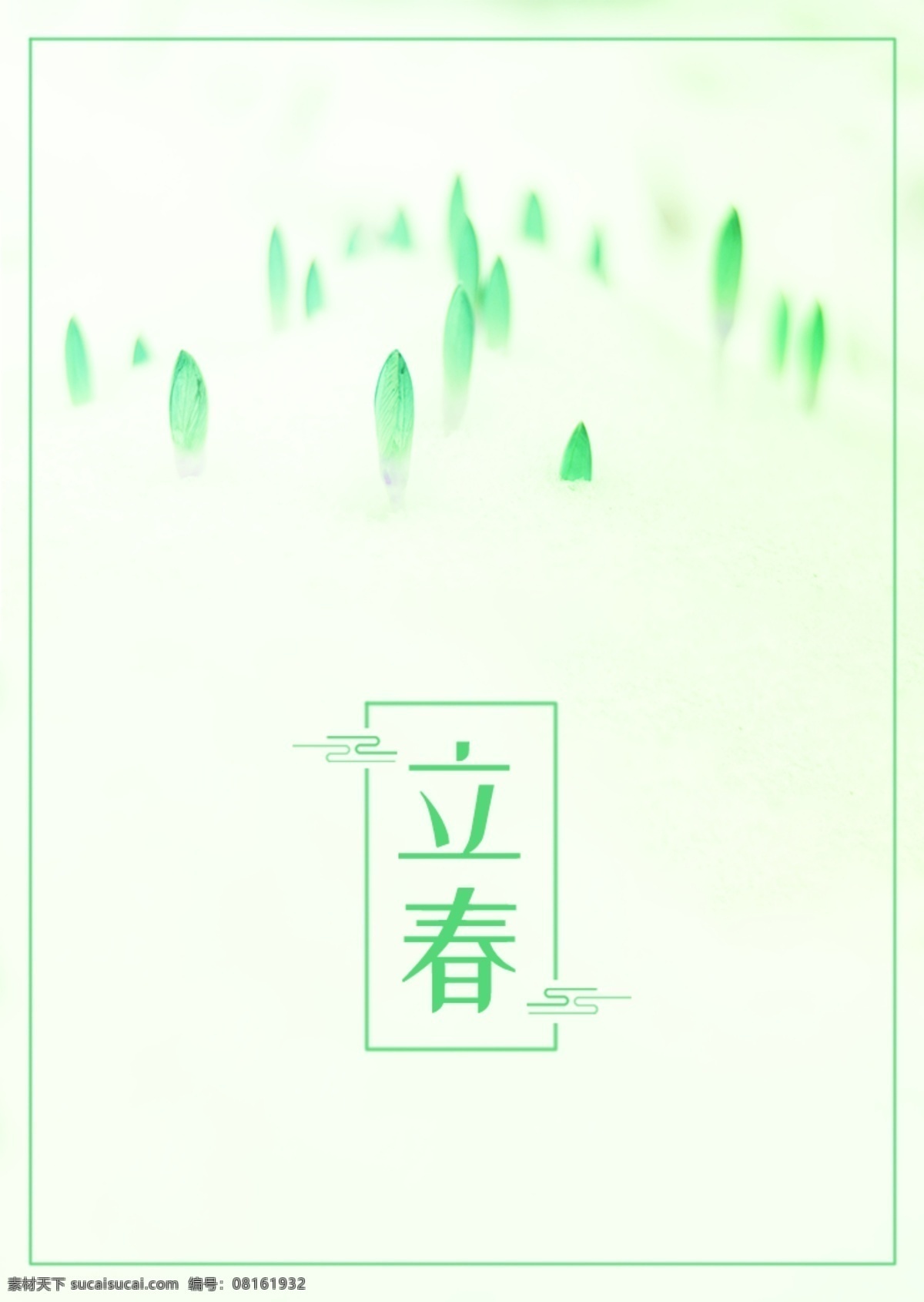绿色新苗 二十四节气 肝药 绿色 雪板 春 新芽 n 植物 立春 春分 海报 阳光