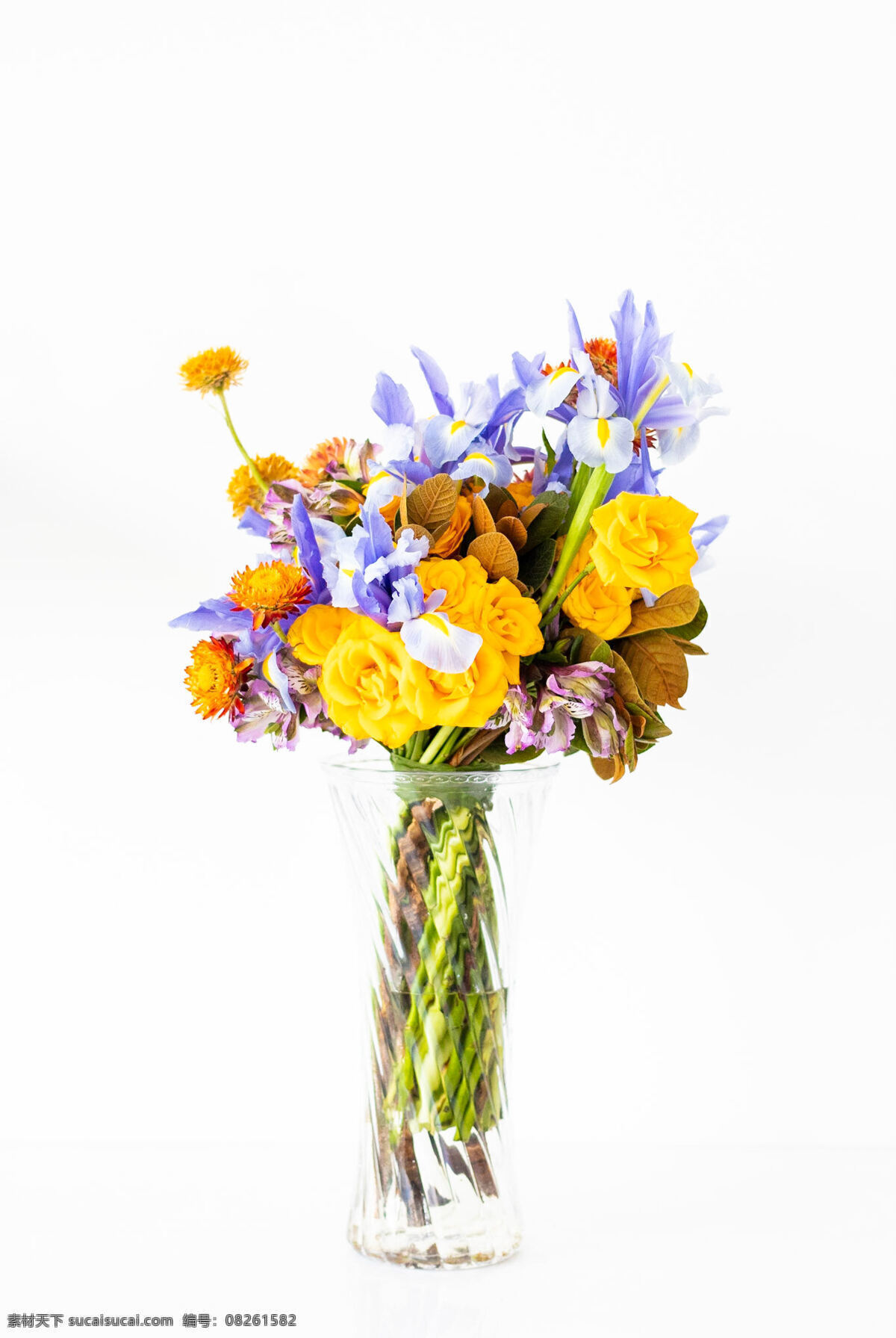 插花 花瓶 花朵 一束花 花盆 鲜花 豆四巴花 玫瑰 菊花 玻璃瓶 背景 母亲节素材 自然景观 自然风景