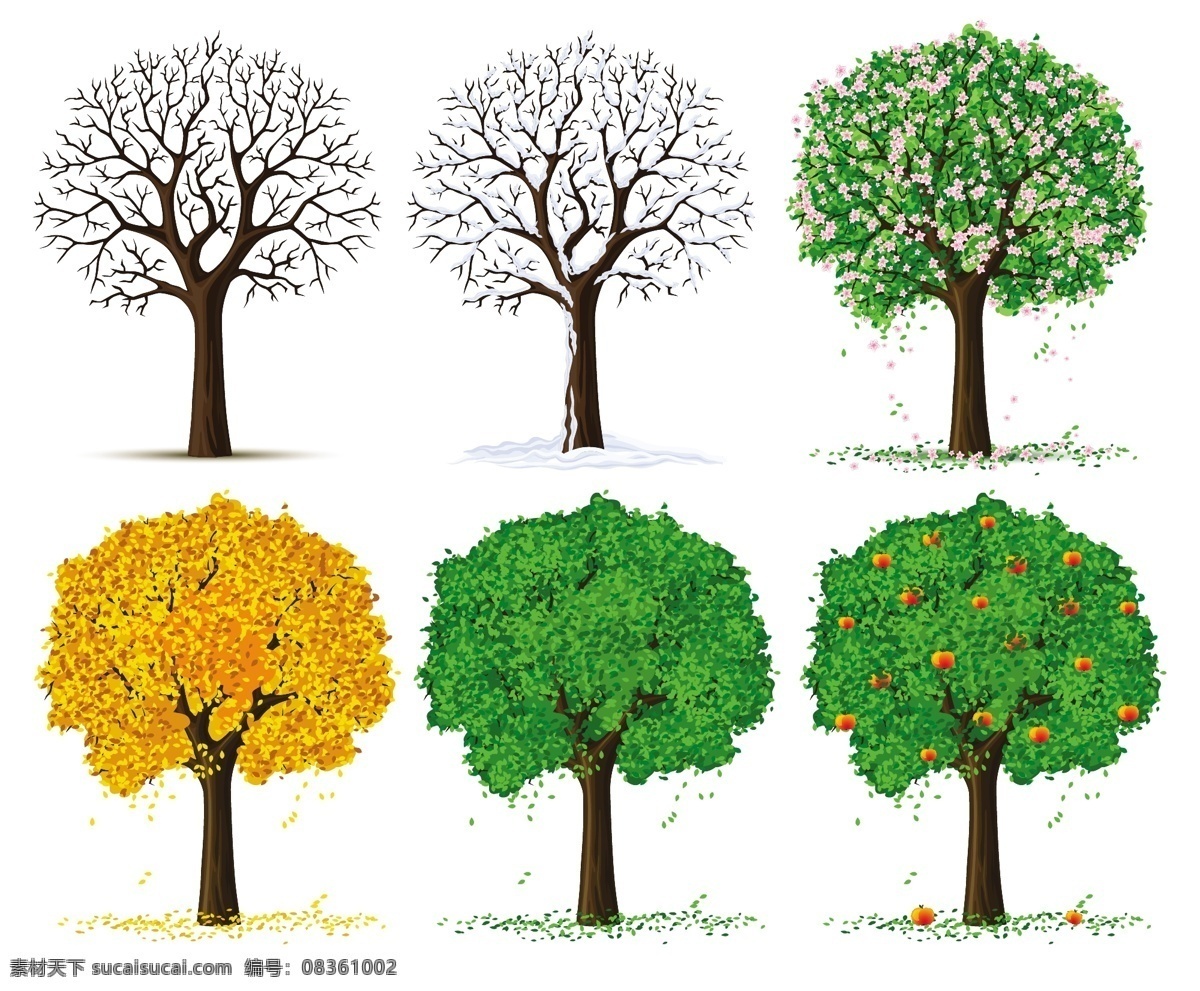 不同 季节 变化 矢量图 发展 绿色 萌发 叶 植物 结果 树木植物 矢量 矢量树枯萎的 黄色的 日常生活