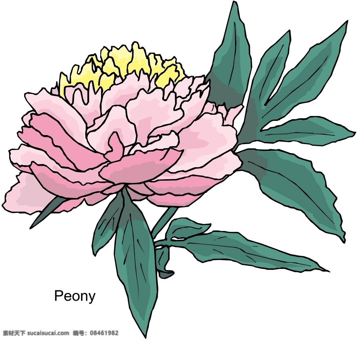 花朵 花草 鲜花 矢量 格式 eps格式 设计素材 花草世界 矢量植物 矢量图库 白色