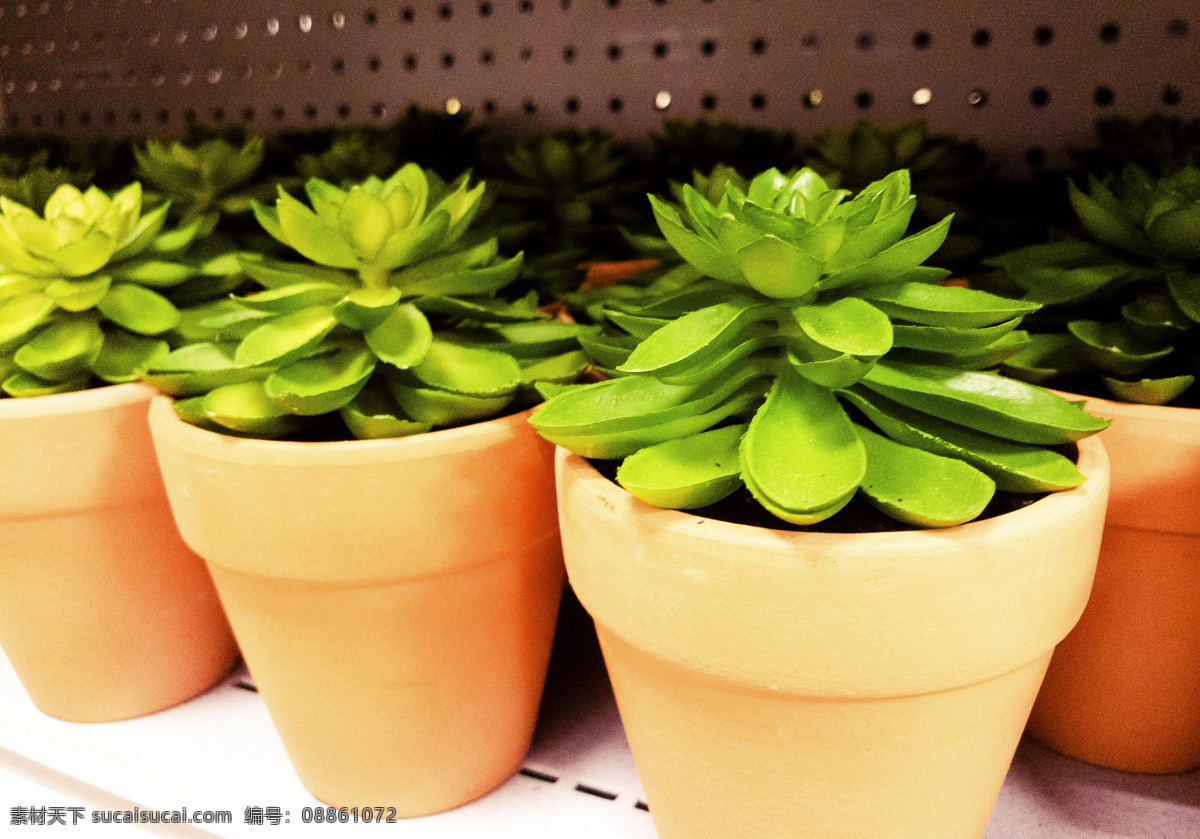 砖 红色 花盆 绿色植物 砖红色 绿色 植物 春天 生机 摆件 千库原创