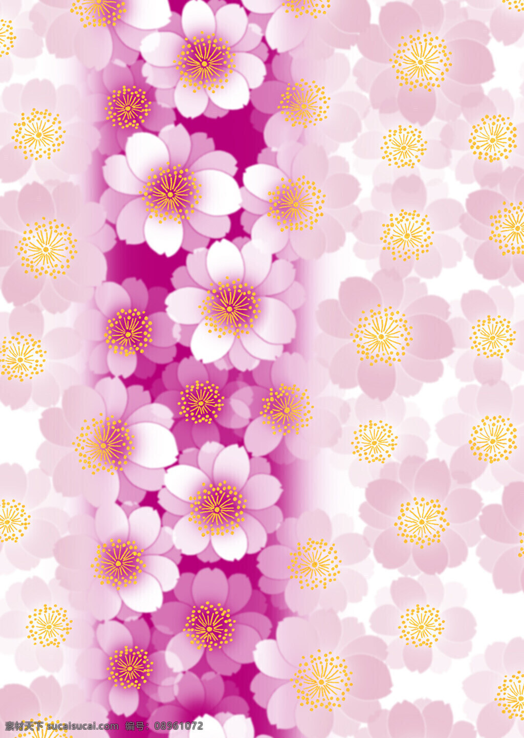 花朵 红色 背景 白色