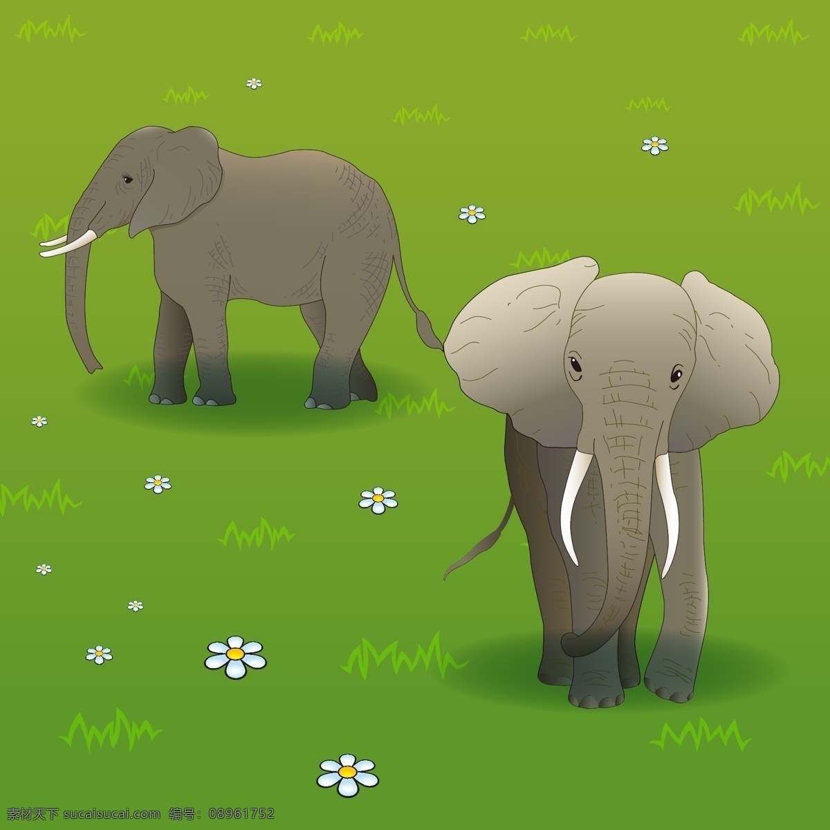 大象 大象摄影 野生大象 野生动物 非洲 非洲大象 动物 生物世界 草原上的大象 平面素材