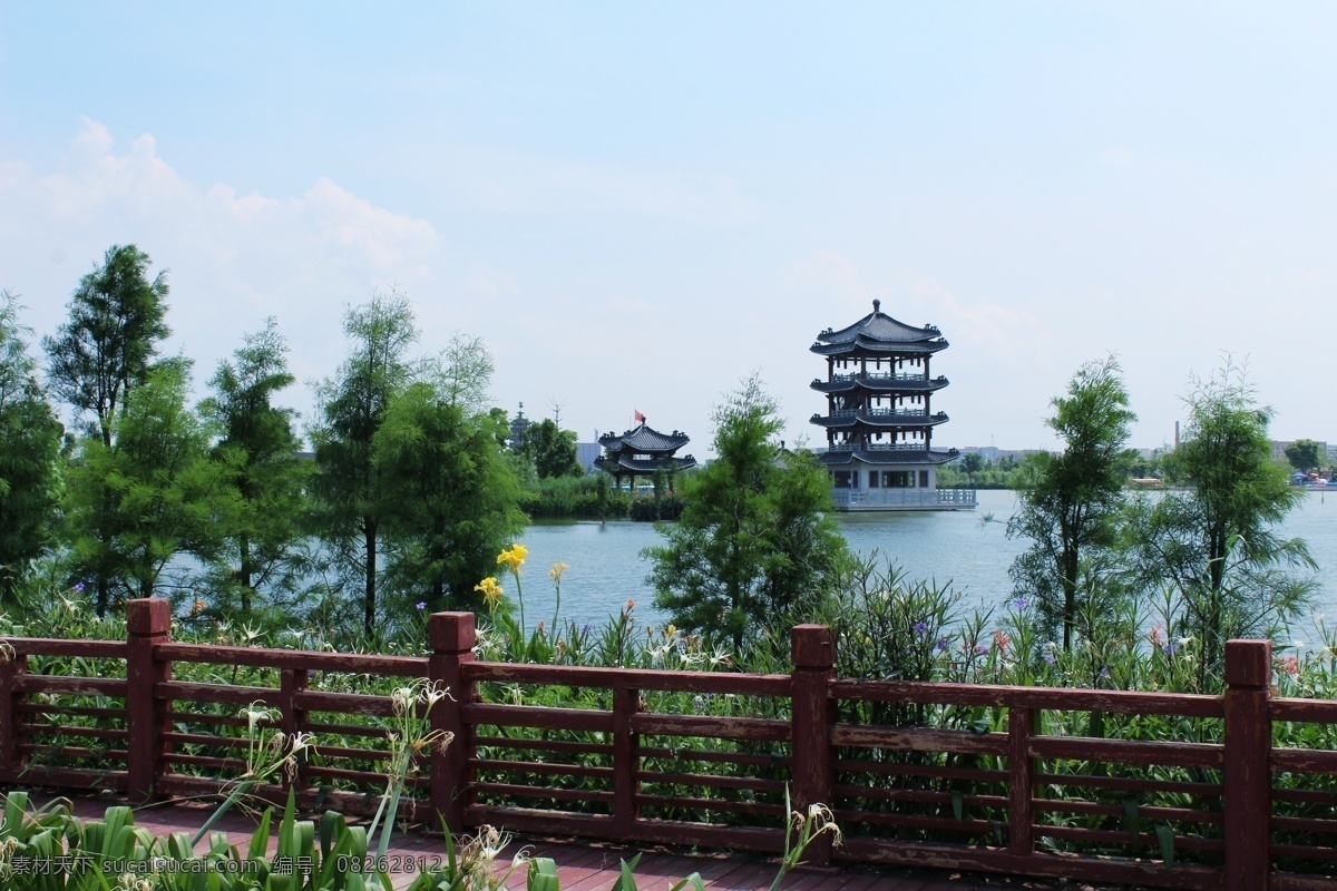 东莞 华阳 湖 湿地 公园 华阳湖 湿地公园 塔 树林 麻 涌 旅游摄影 国内旅游 黑色