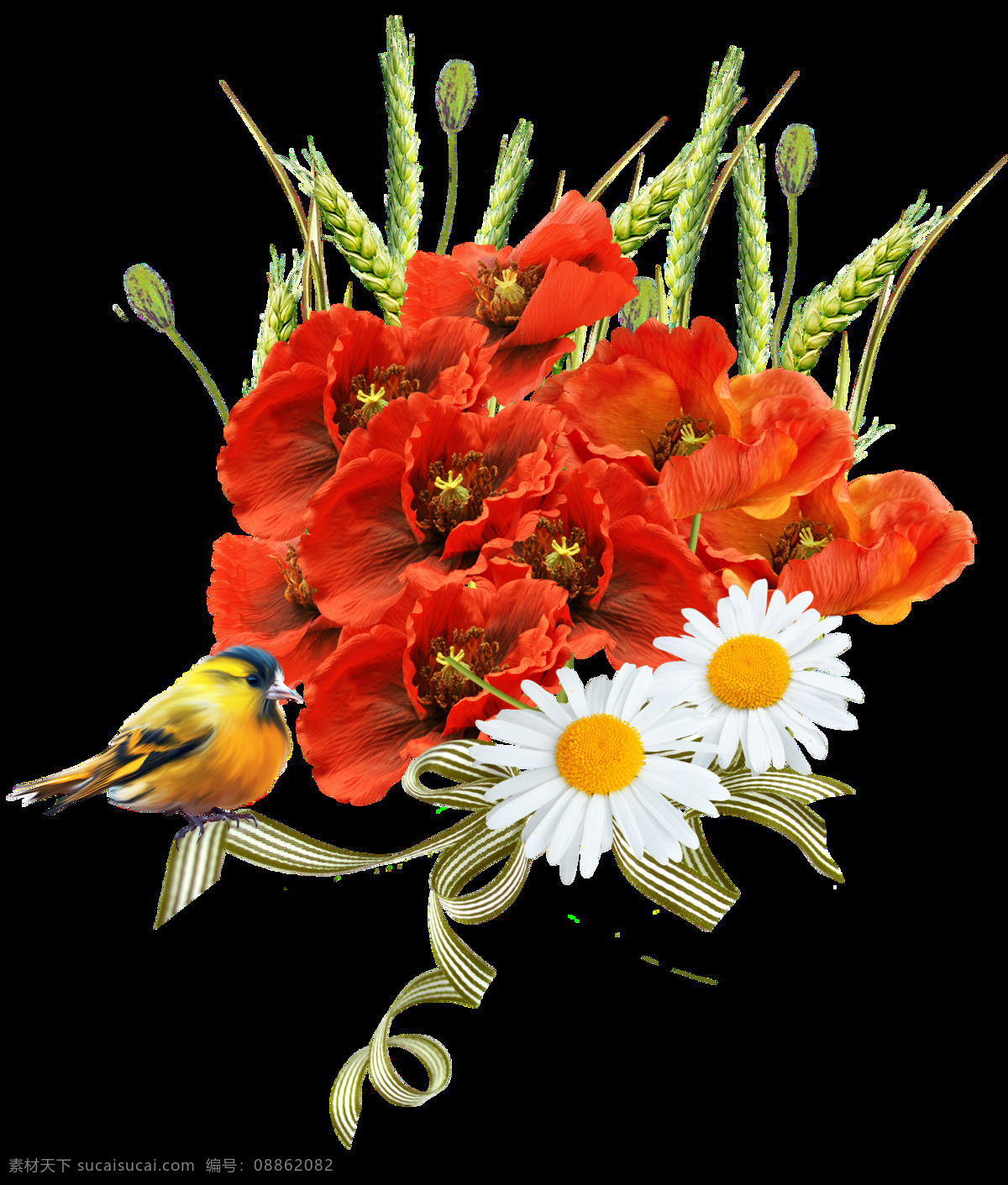 红色 花卉 鸟类 组合 花束 透明 菊花 麦穗 丝带 花纹 透明素材 免扣素材 装饰图片