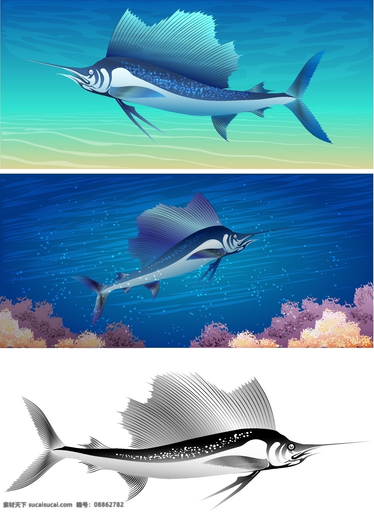 海洋剑鱼 海洋 剑鱼 鱼类 飞跃 自然动物 海洋生物 生物世界 矢量