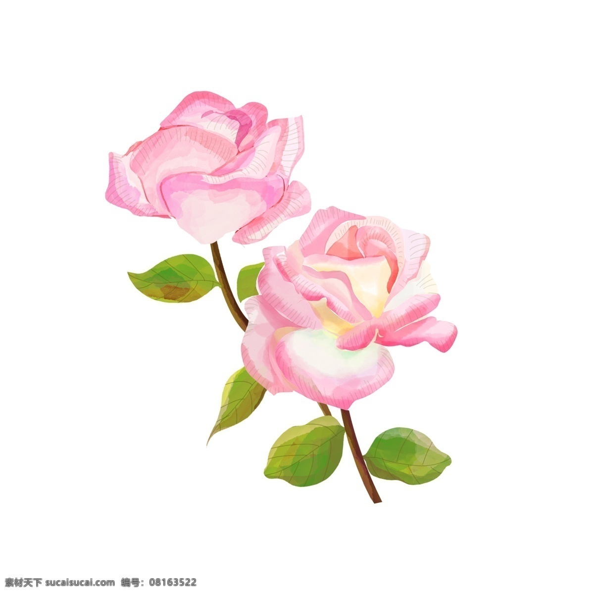 手绘 水彩 风 清新 植物 花卉 插画 元素 花朵 花 绘画 透明 商业 唯美 浪漫 免抠图 装饰 手账