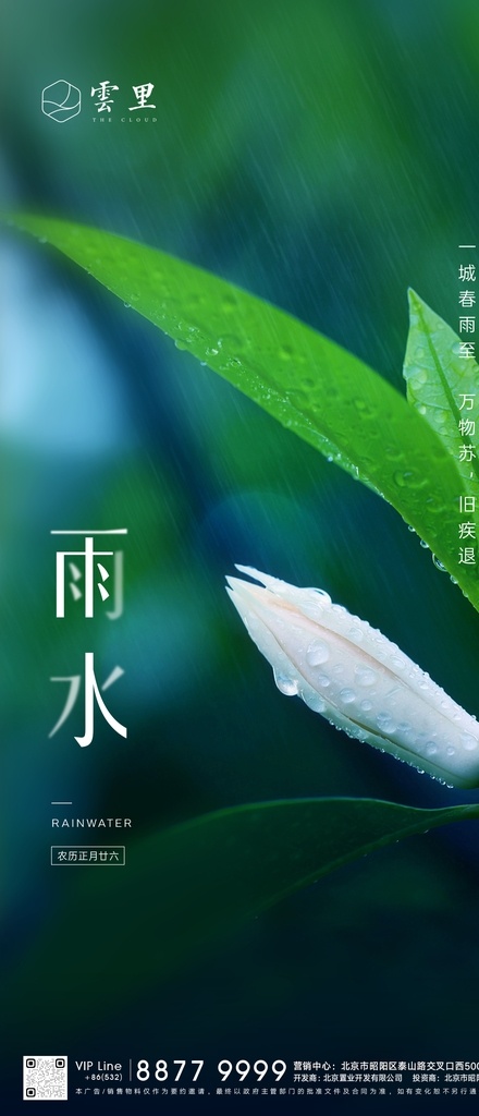 节气刷屏雨水 地产 节气 热点 雨水 二十四节气 中国传统节日 植物 绿化 花朵 叶子 节气热点