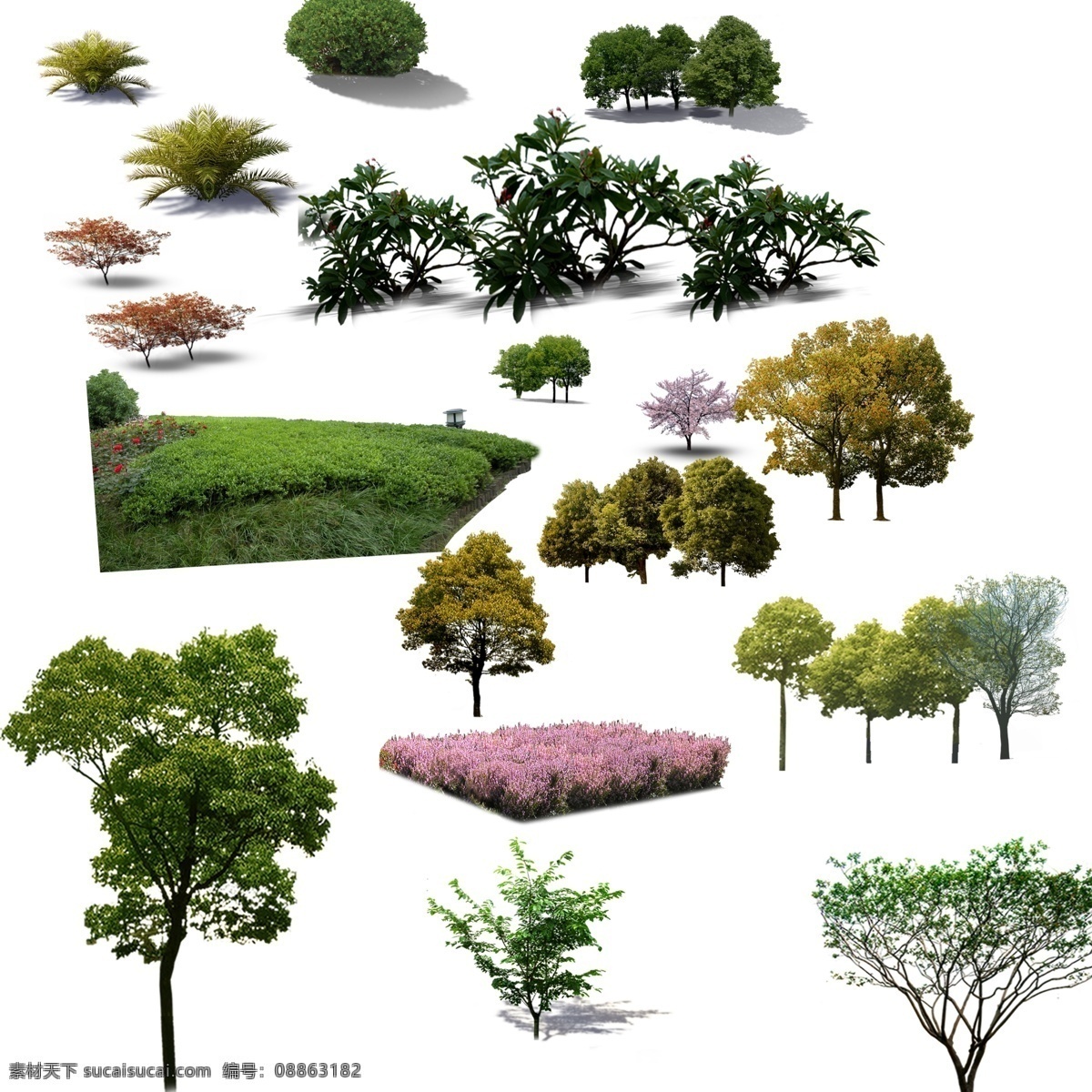 天朗 效果 植物 后期 园林 效果图 园林景观 景观设计 环境设计 源文件