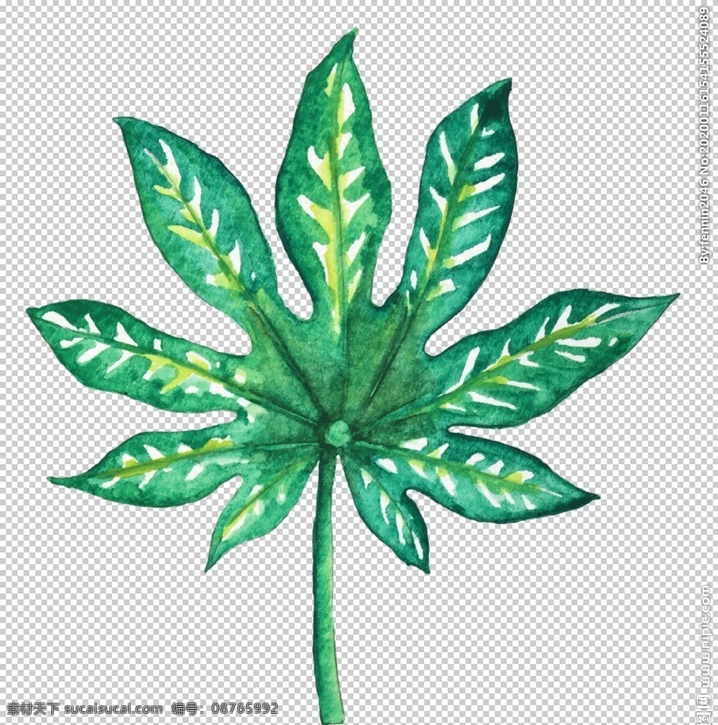 夏日 水彩 植物 装饰 图案 小清新 热带 绘画 涂鸦 绿叶 树叶 海滩 龟背竹 装饰画 花朵 花卉 创意 装饰图案 鸟雀 火烈鸟 鸟