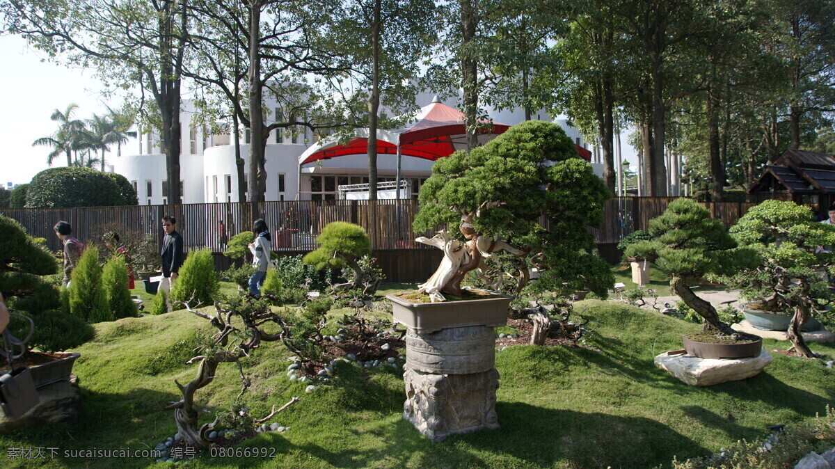 台北 国际 花园 博览会 博物馆 花艺 建筑园林 景观 园林建筑 植物 展览馆 培育 松木类 装饰素材 展示设计
