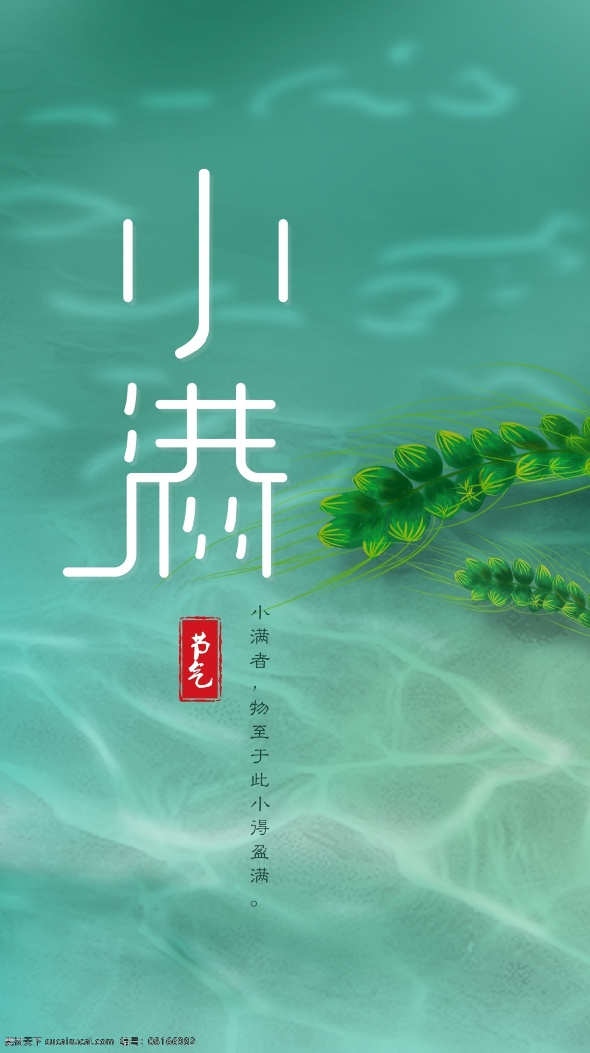 小满海报 小满节气海报 小满素材 小满背景 水纹背景