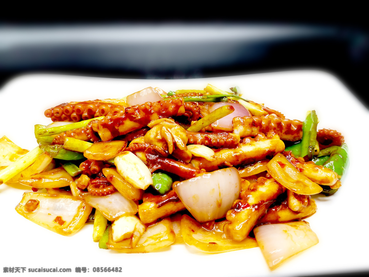 酱爆八爪鱼 辣炒八爪鱼 八爪鱼 活八爪鱼 大连海鲜 海鲜美食 餐饮美食 传统美食