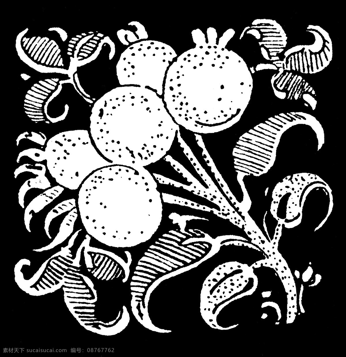 黑白花纹背景 黑白 图案 植物 手绘 复古 黑白图案 背景底纹 底纹边框 黑色