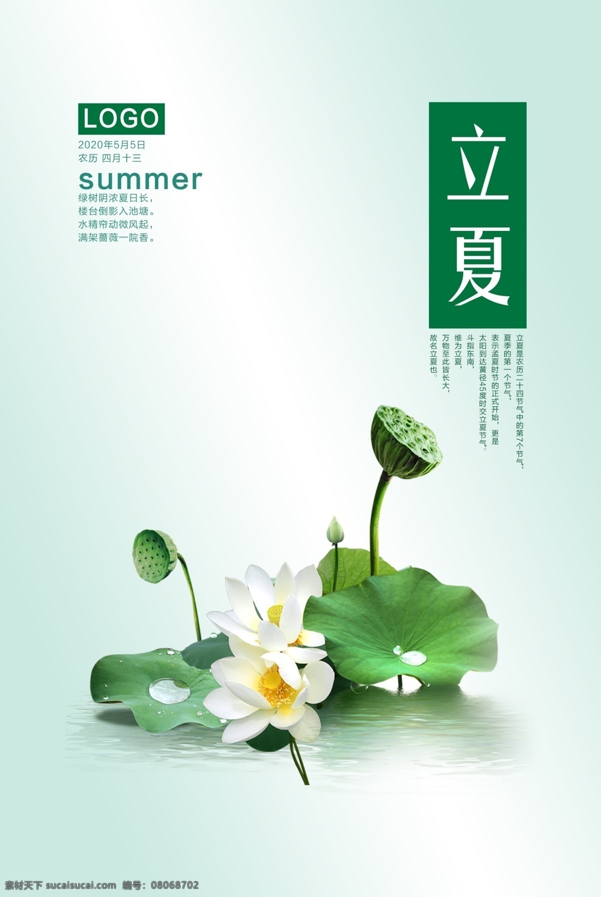 立夏节气海报 立夏 夏天 荷叶 荷花 节气