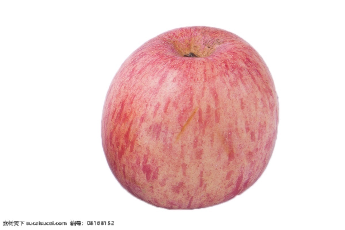 一个 大红 富士 苹果 营养 食物 绿色 维生素 清脆 香甜 可口 水果 食品 甘甜 汁多 新鲜 水分足 植物