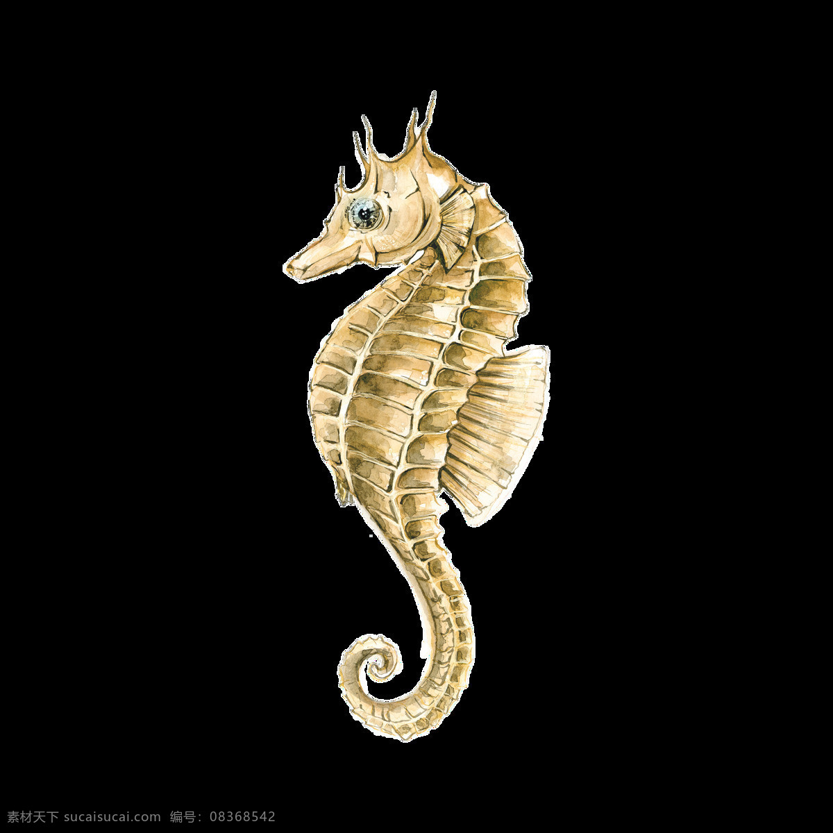 海洋生物 海马 卡通 透明 海洋 生物 水彩 免扣 手绘 透明素材 装饰 设计素材 淘宝素材 海报设计装饰 装饰图案