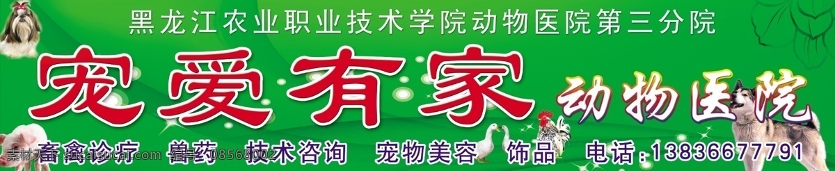 店招 动物 狗 广告设计模板 鸡 门头 其他模版 鸭 动物医院门头 动物医院 宠爱有家 招牌 宠物医院门头 猪 源文件 psd源文件