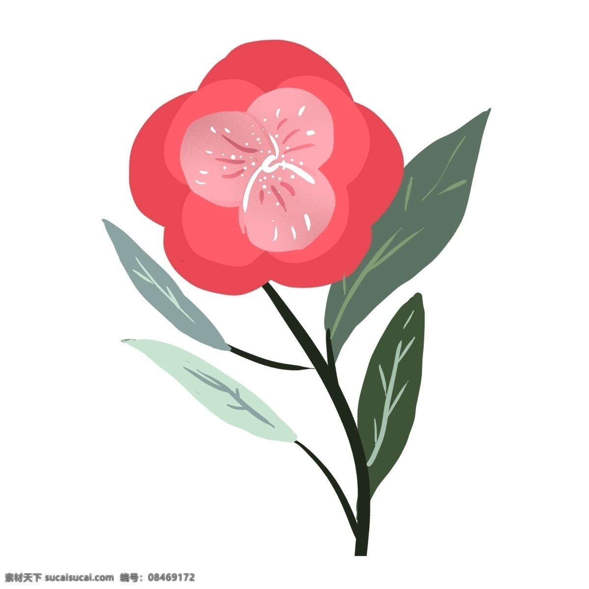 红色花卉植物 植物 花卉 红色