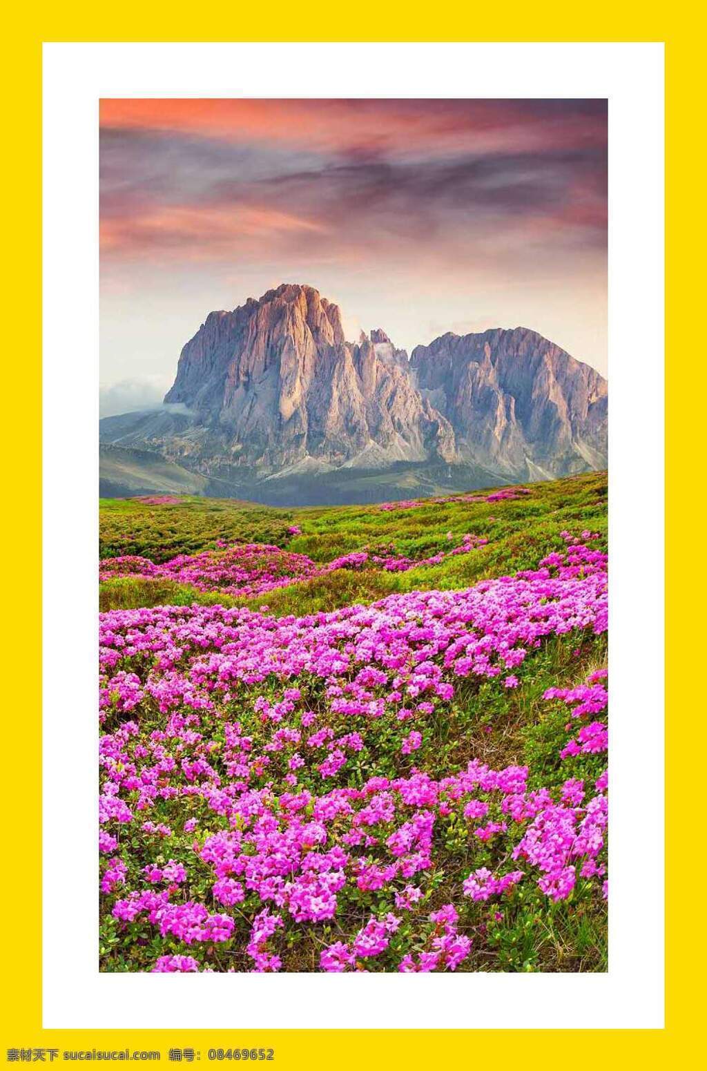 山峰鲜花风景 娇艳的鲜花 梦幻般的山峰 春天的山峰 山峰拍摄 鲜花旅游 自然景观 自然风景
