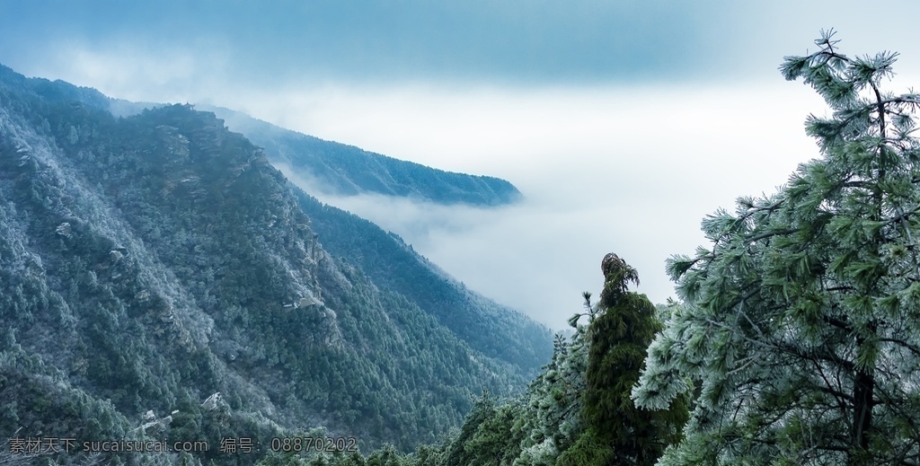 雾凇图片 雾凇 雾凇岛 树挂 吉林 冰柱 自然景观 树 冰天雪地 雪景 唯美 下雪 雪花 雪 霜降 霜 白雾 大寒 小寒 冬天 冬景 旅游摄影 国内旅游