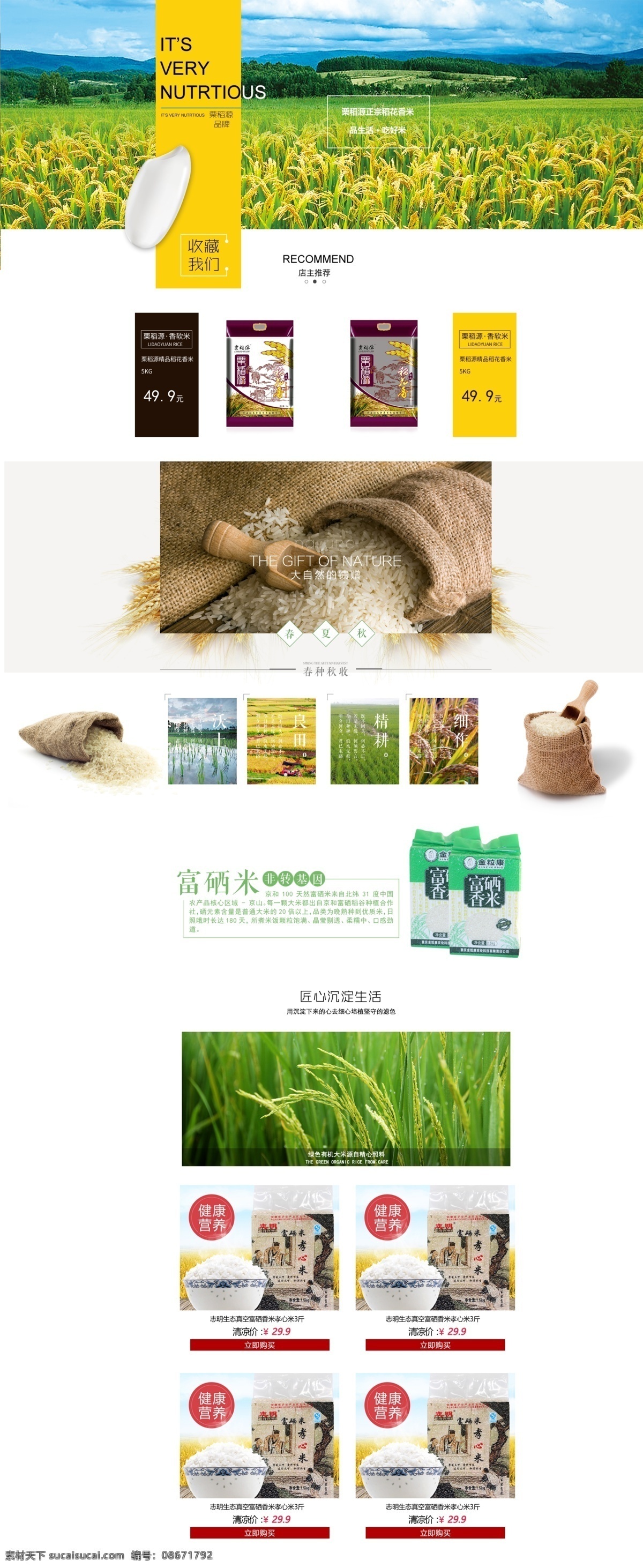 淘宝 天猫 食品 粗粮 首页 模板 食品首页模板 春季食品首页 夏季食品首页 秋季食品首页 冬季食品首页 大米 红豆 玉米 粮食首页 淘宝首页模板 天猫首页 大米包装 东北大米 有机大米 五谷杂粮 食品首页 首页装修 食品模板 装修模板 大米包装袋 大米图片 果蔬食饮 淘宝界面设计 淘宝装修模板