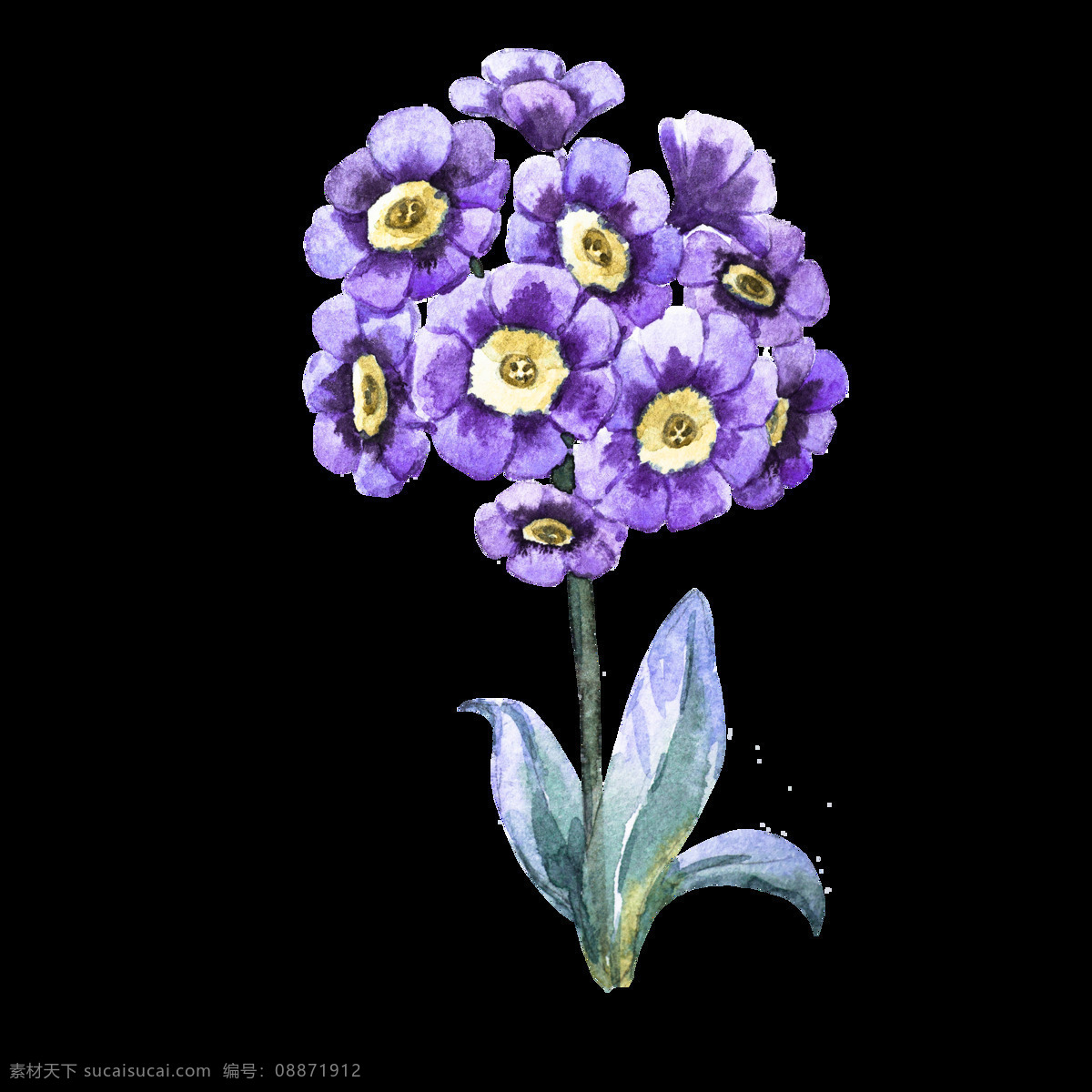 紫色 花卉 卡通 透明 抠图专用 装饰 设计素材