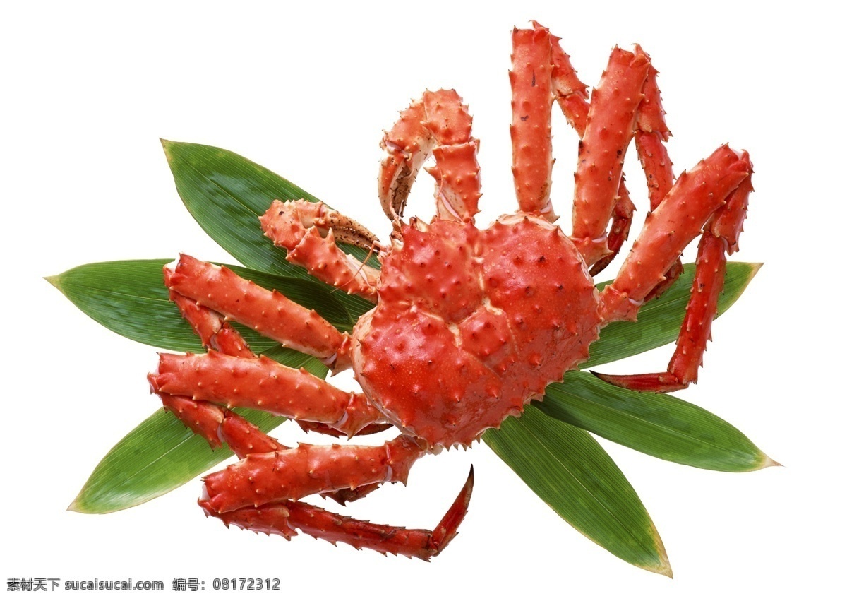 大闸蟹已抠好 高精度 文件 大闸蟹 螃蟹 闸蟹 海鲜 生鲜 海洋生物 大螃蟹 新鲜 活生生 生物 清蒸大闸蟹 姜葱炒大闸蟹 分层 源文件