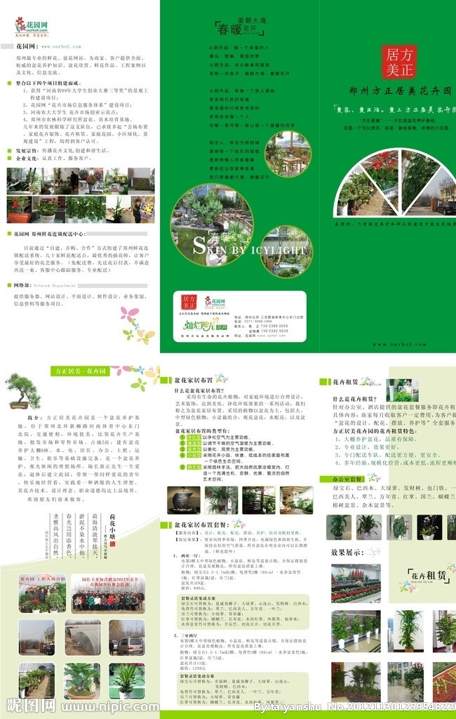 花卉三折页 花卉网 花卉 三折页 矢量