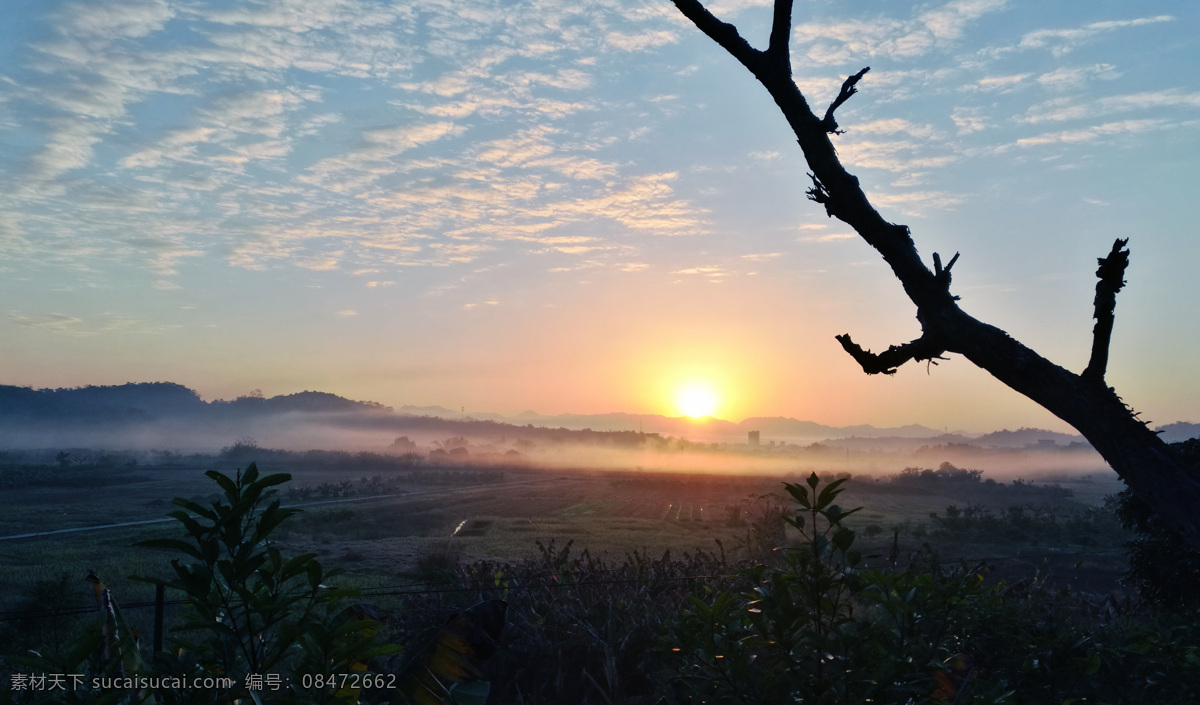 乡野朝阳 日出 田野 早晨 冬天 自然景观 田园风光