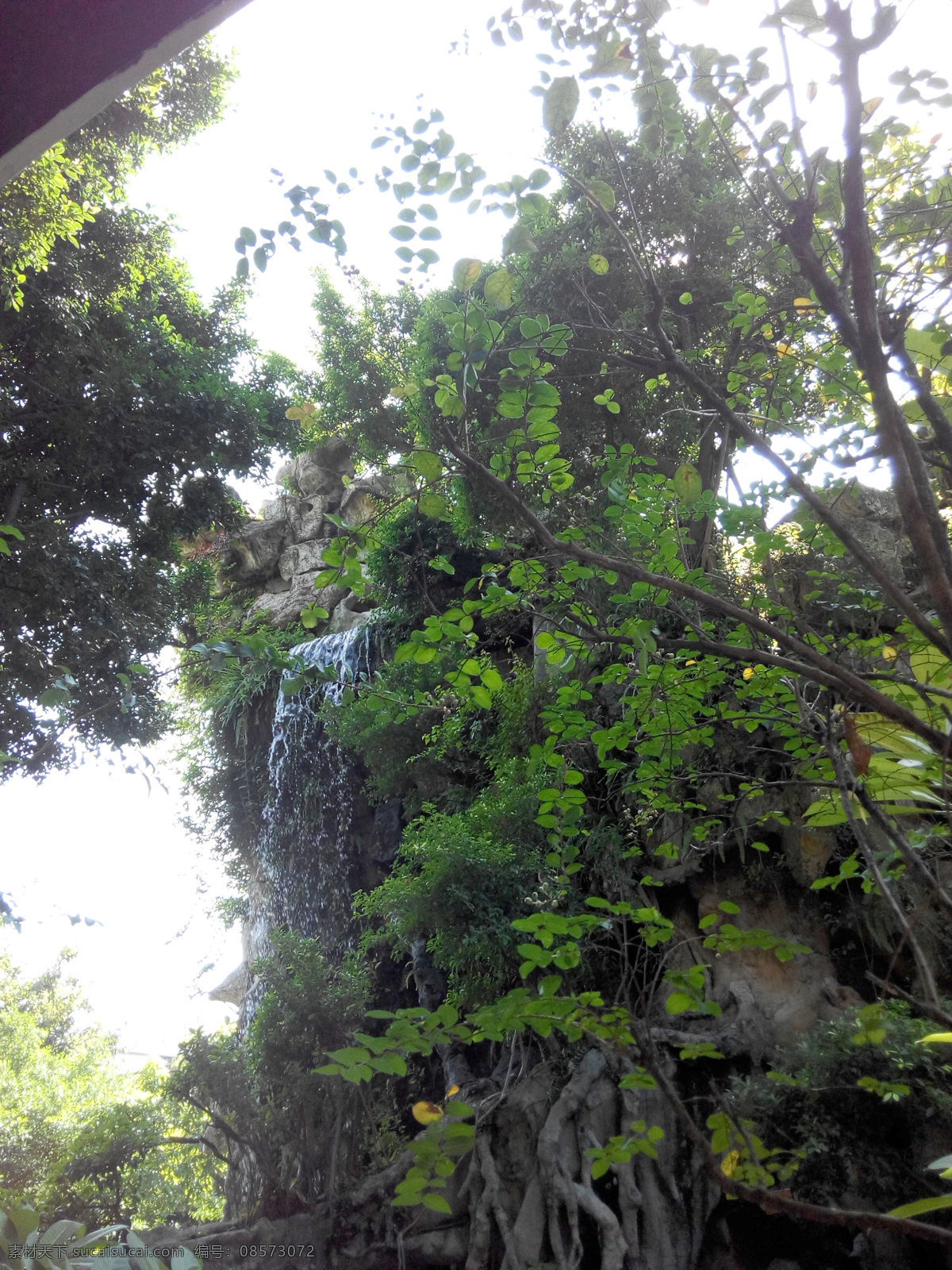 树图片 旅游区 河流 溶洞 桥 地标 栈道 木板桥 过道 度假 景观 石头 假山 山 山体 园林 风景区 瀑布 海 海滩 店面设计 园林建筑 室内设计 建筑设计 外观设计 园林设计 展柜 静物 家具 牌坊 人物雕像 壁画 背景墙 公园 纪念馆 建筑设计园林 风景 室 生活百科 生活素材