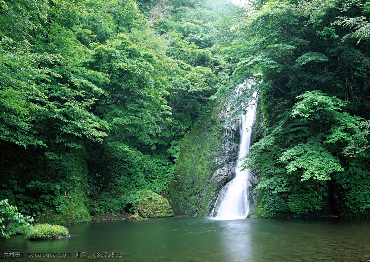 水源 瀑布 大自然 山水风景 溪流 源泉 水流 原始森林 树林 花草 隐居 大山 新鲜空气 自然景观