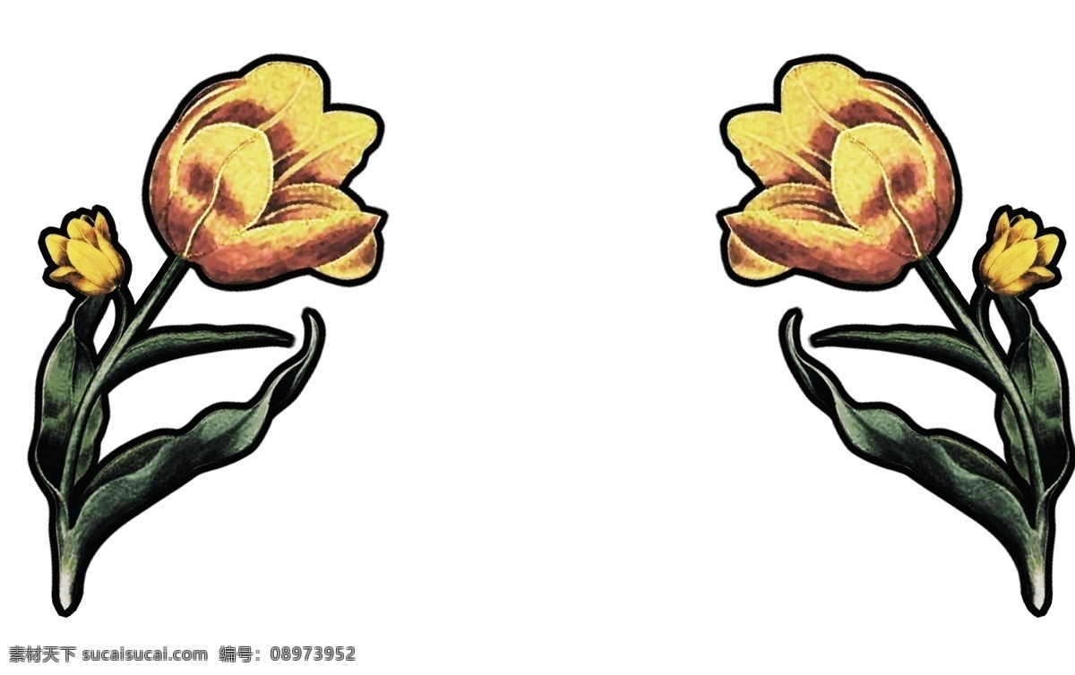 对称 花朵 鲜艳 色彩 黄花