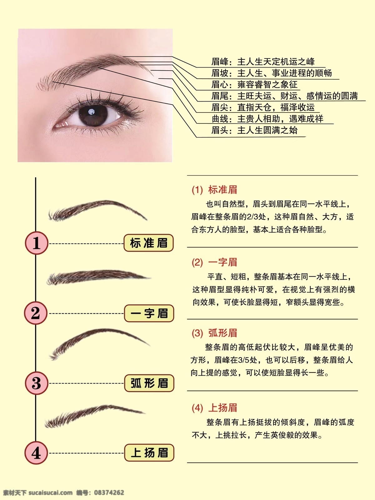 眉毛纹绣 各种眉毛简介 眉的主运 眉型简介 画眉效果 眉毛 分层