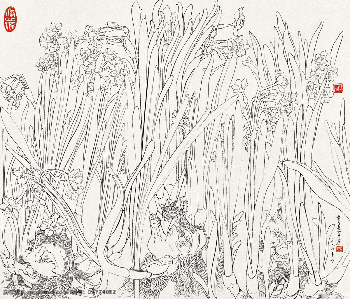 彩画 草本植物 绘画书法 水仙 水仙花 模板下载 速写 设计素材 袁运甫 写生 文化艺术 速写袁运甫
