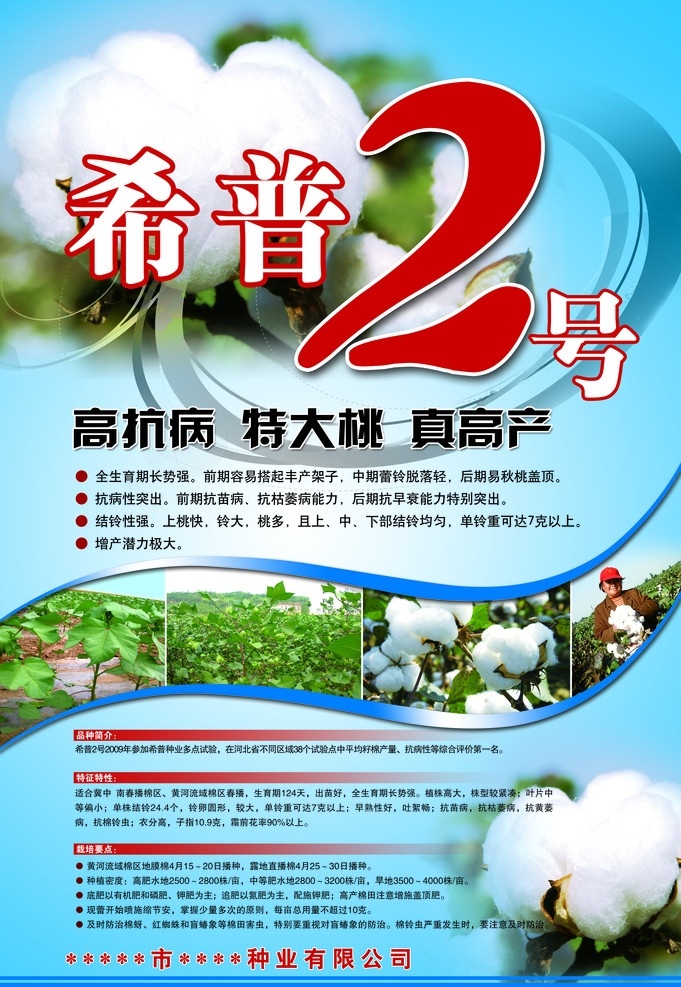 棉花种海报 棉花 棉花地 海报 分层 源文件