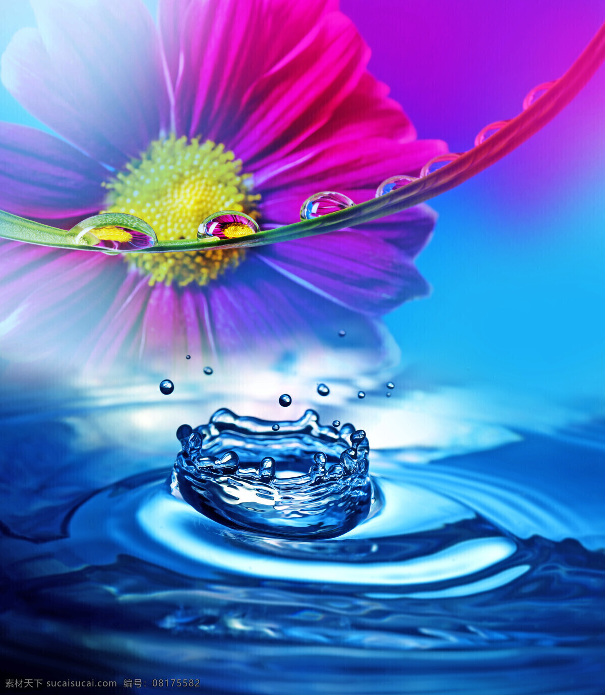 花朵 皇冠 水花 鲜花 浪花 水波纹 水纹 水珠 露珠 水泡泡 水滴效果 水珠底纹 水图片 生活百科