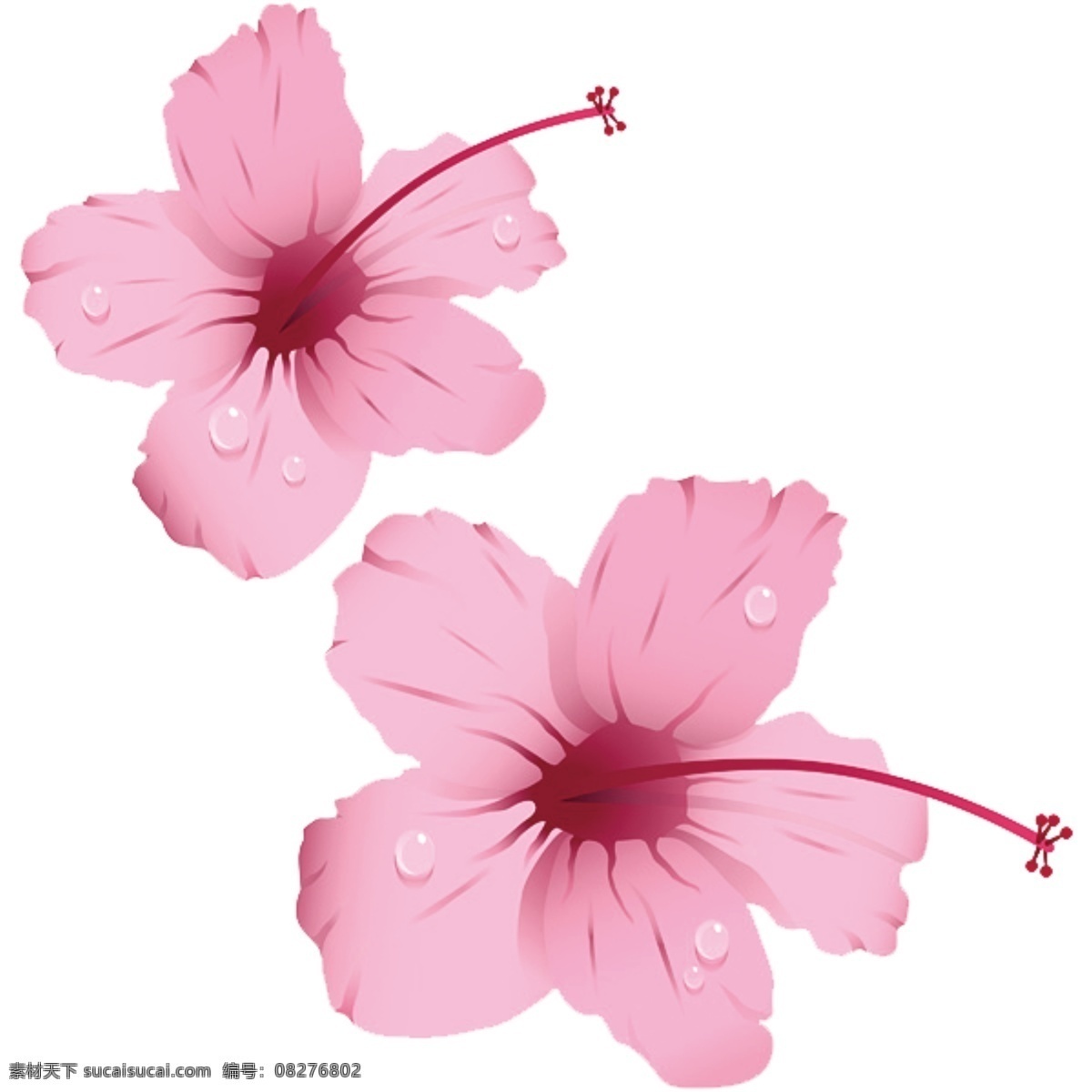 花 源文件 玫红 小花 psd源文件