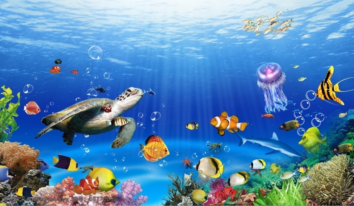 海底世界背景 梦幻海洋 梦幻海底世界 高清 超大 海洋世界 海底摄影 奇幻海底世界 唯美海底世界 海洋生物 鲨鱼 海豚 海底珊瑚 壁纸 大型高清海底 3d海底世界 海洋素材 海底世界壁画 海底世界壁纸 3d全景壁画 全景壁纸 立体画 海底生物 海洋节