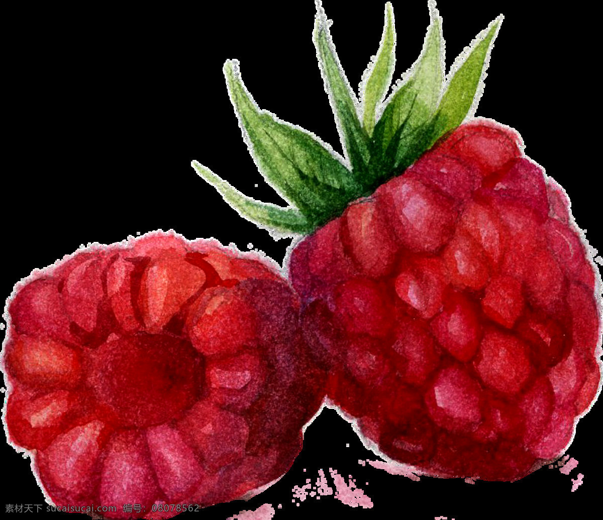 桃红 葡萄 卡通 透明 植物 红色 透明素材 免扣素材 装饰图案